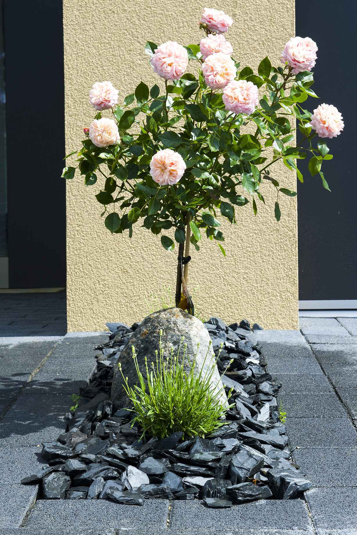 Garten: Terasse, Mauer, Steinbeete